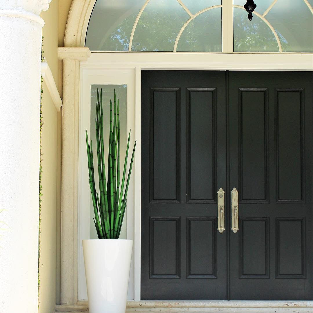 Schlangen-Gras (160 cm) mit Belle M Pflanzgefäß