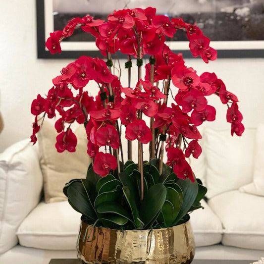 Rote Phalaenopsis-Orchideen im mittleren goldfarbenen Topf