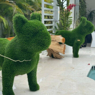 Französische Bulldogge – Tierform-Topiary (künstlich)