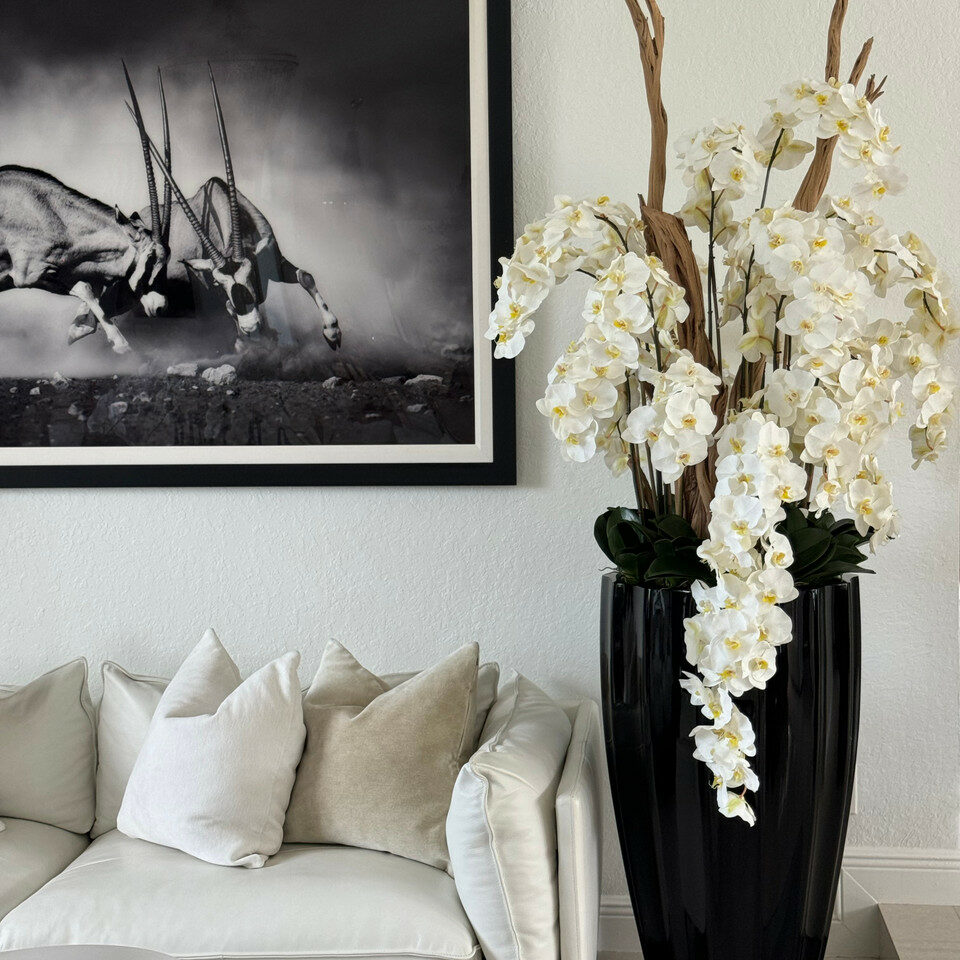 San Jose Vase in glänzendem Schwarz mit hängenden gelben Orchideen