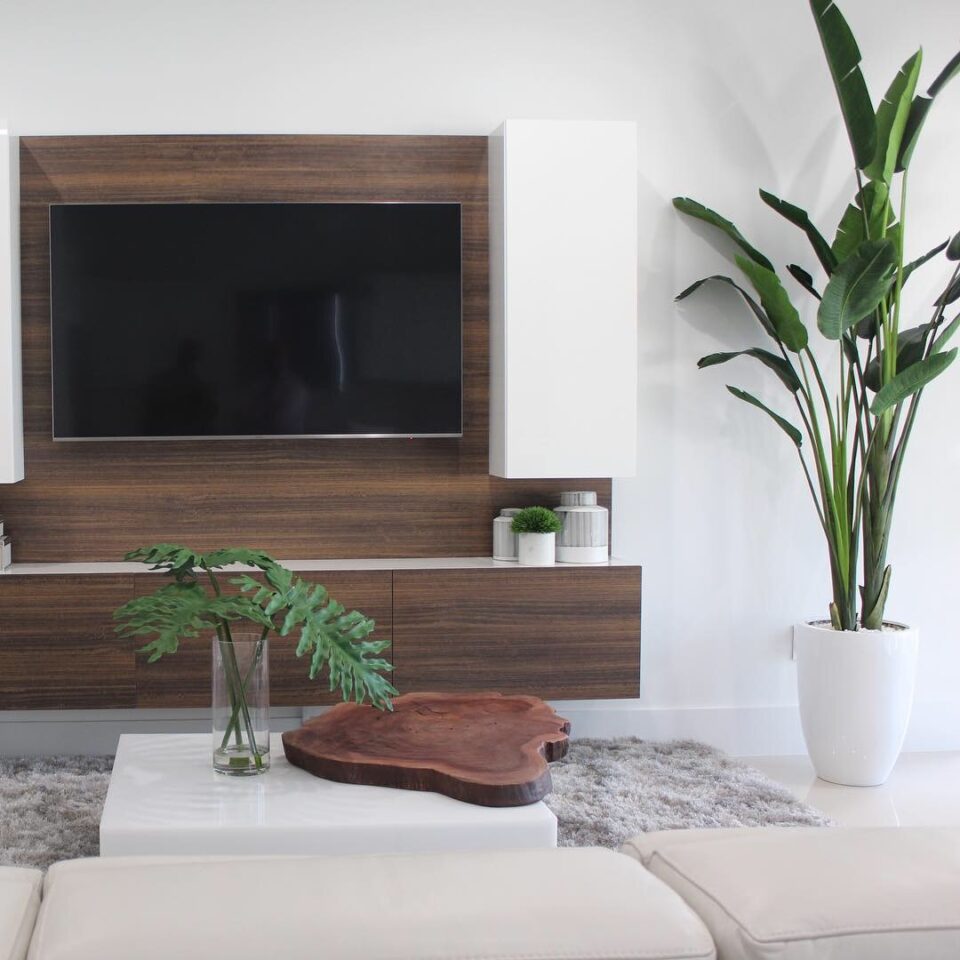 Paradiesvogelpflanze (2,7 m) mit Ben Pflanzgefäß in Hochglanz-Weiß