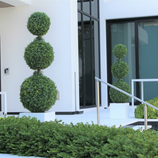 Dreifaches Kugel-Topiary mit mittlerem Block-Fiberglas-Topf